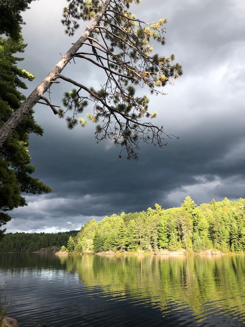 What to Expect From the Weather