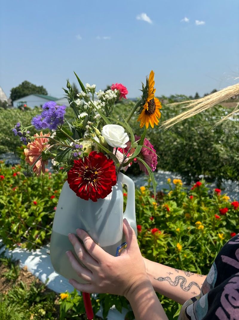 When to Go for the Best Flower Picking When to Go for the Best Flower Picking