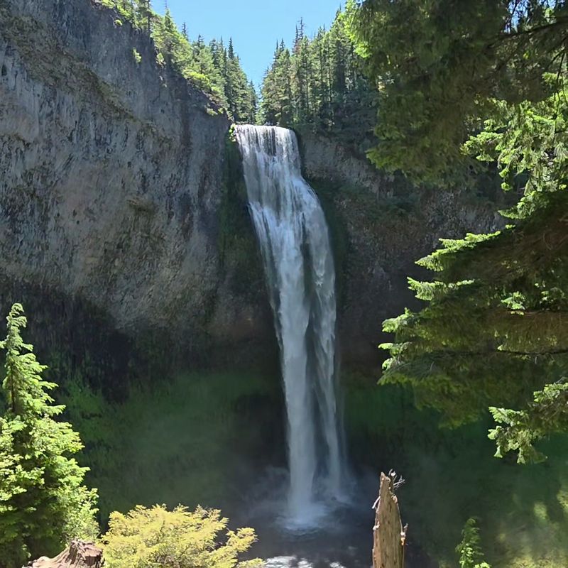 Where Exactly Salt Creek Falls Is Located Where Exactly Salt Creek Falls Is Located