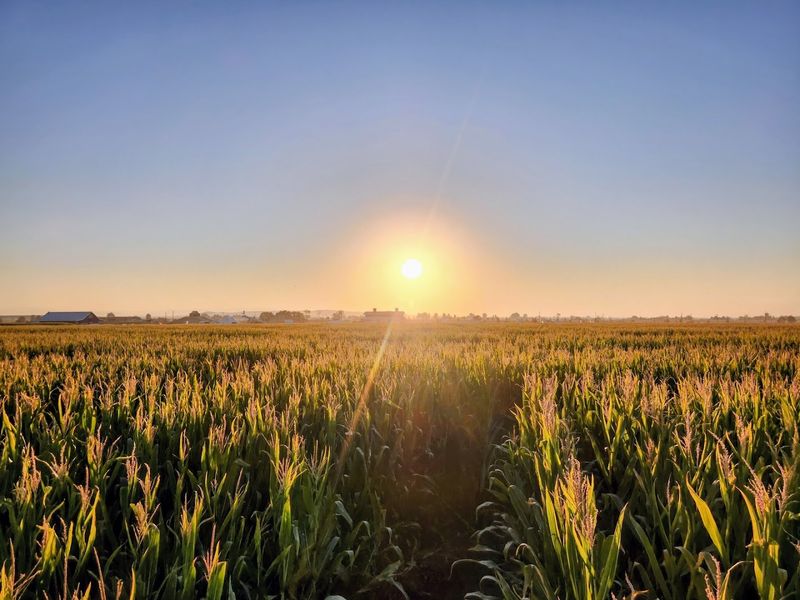 Where It All Began: The Story Behind the Farmstead