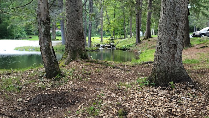 Where It All Begins: Location and Access