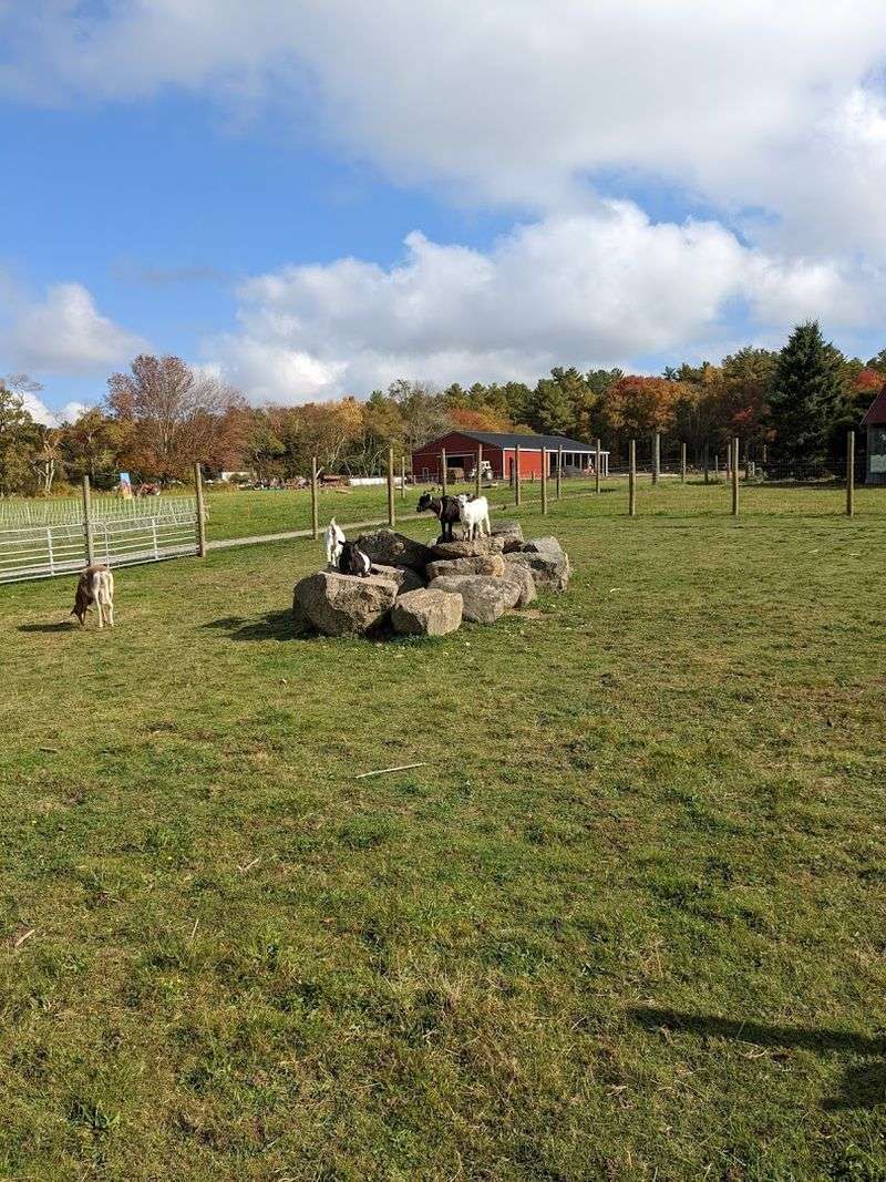 Where It All Begins: The Farm and Its Location