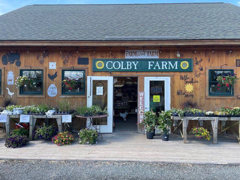 Where It All Begins: The Farm's Location and Layout Where It All Begins: The Farm's Location and Layout