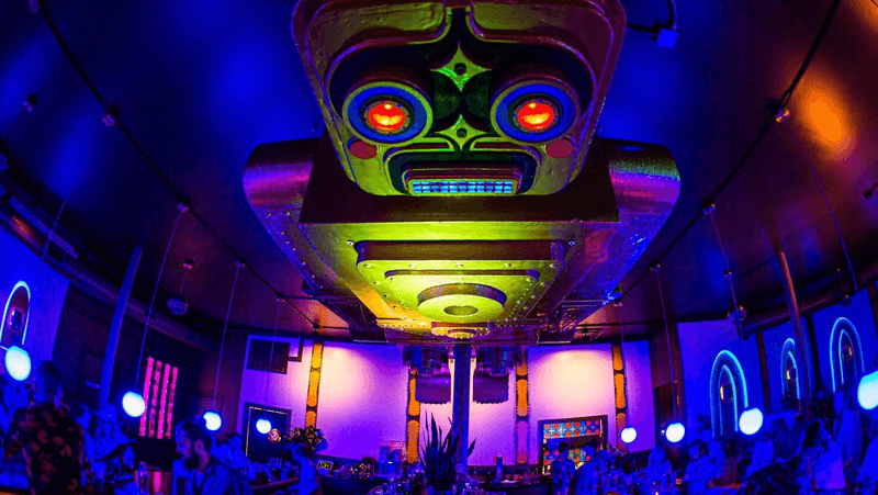 Where Robots Meet the Tropics: Finding Chopper in East Nashville
