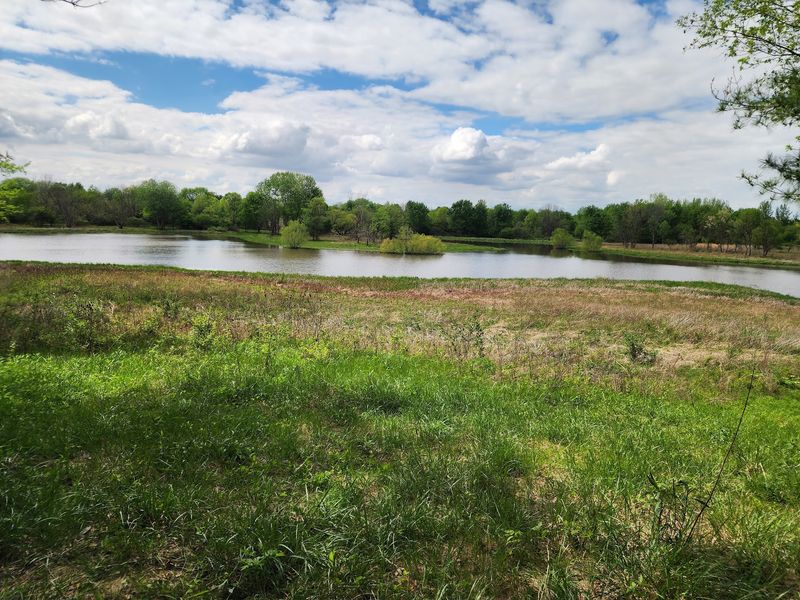 Where Stage's Pond State Nature Preserve Actually Is Where Stage's Pond State Nature Preserve Actually Is