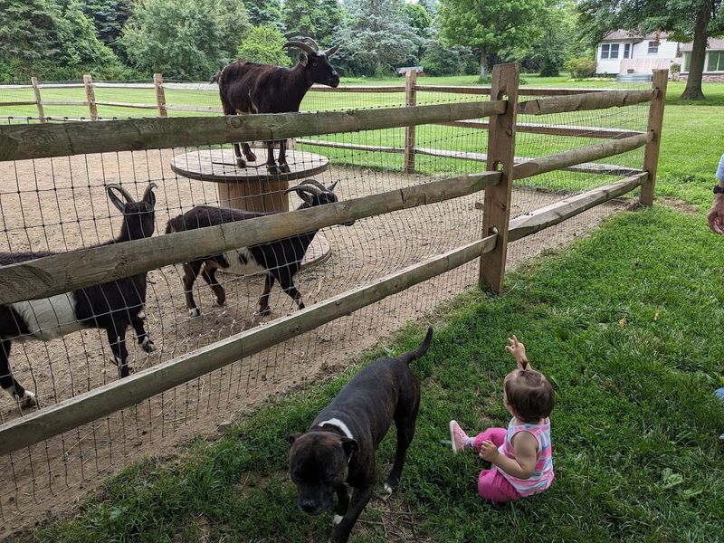 Where the Farm Calls Home Where the Farm Calls Home