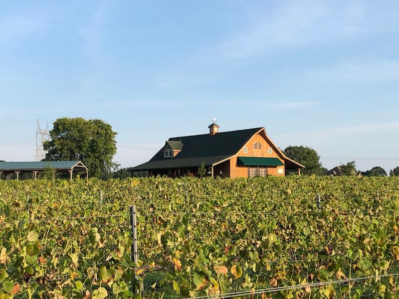 Where the Farm Meets the Winery Where the Farm Meets the Winery