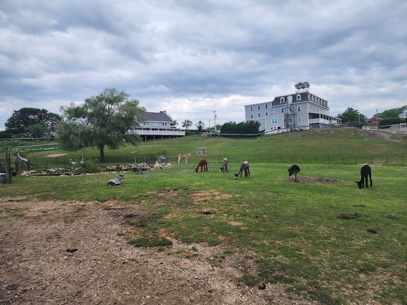 Where the Farm Sits on Block Island