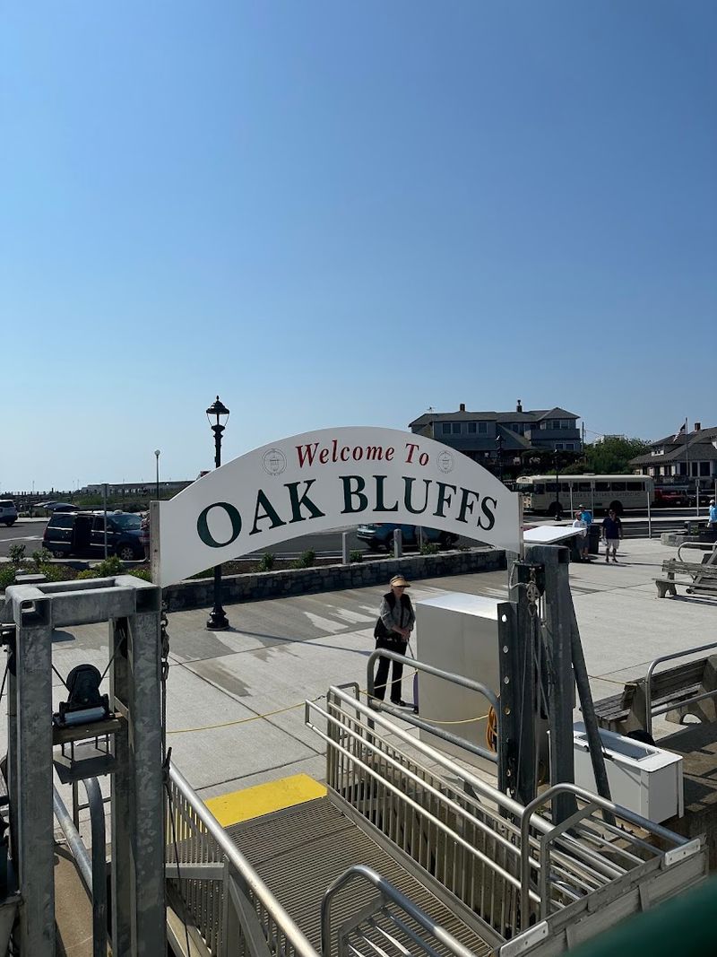 Where the Ferry Takes You on the Vineyard