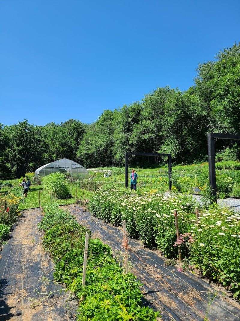 Where the Fields Begin: Location and Farm Overview