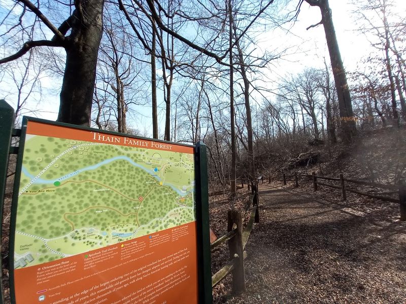 Where the Forest Stands: Address and Location