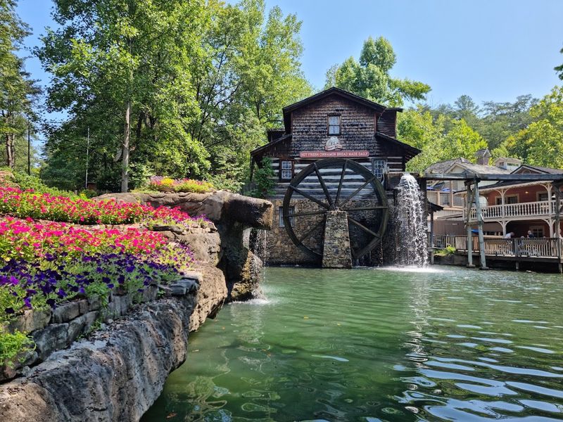Where the Magic Sits in the Smokies Where the Magic Sits in the Smokies