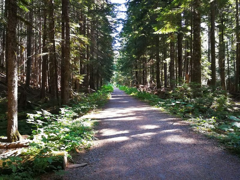 Where the Trail Begins: Getting to Monte Cristo