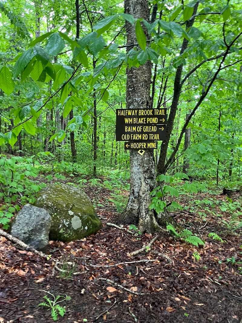 Where the Trail Begins: Location and Access