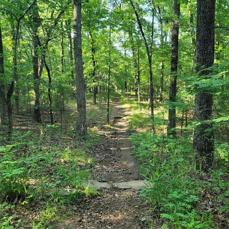 Where the Trail Begins: The Park Address and Setting