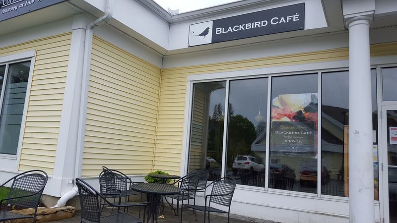 Where to Find Blackbird Cafe in Groton