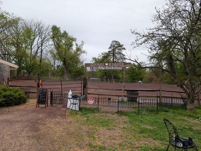 Where to Find Rose Bridge Farm and What to Expect on Arrival Where to Find Rose Bridge Farm and What to Expect on Arrival