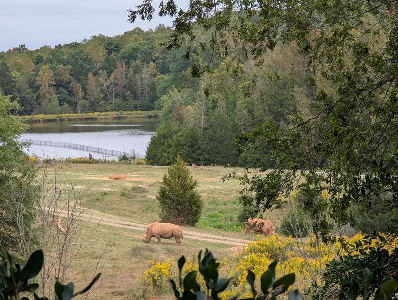 Where to Find This Giant in Asheboro