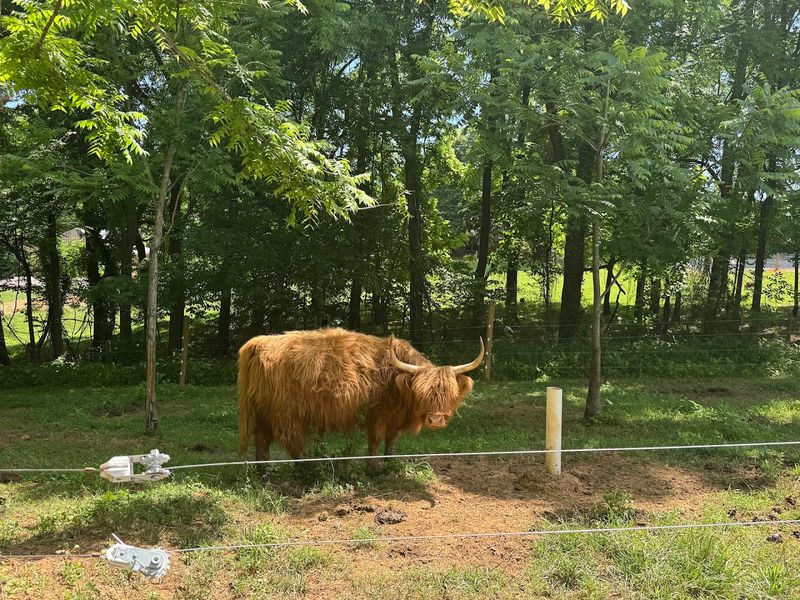 Where to Find This One-of-a-Kind Farm