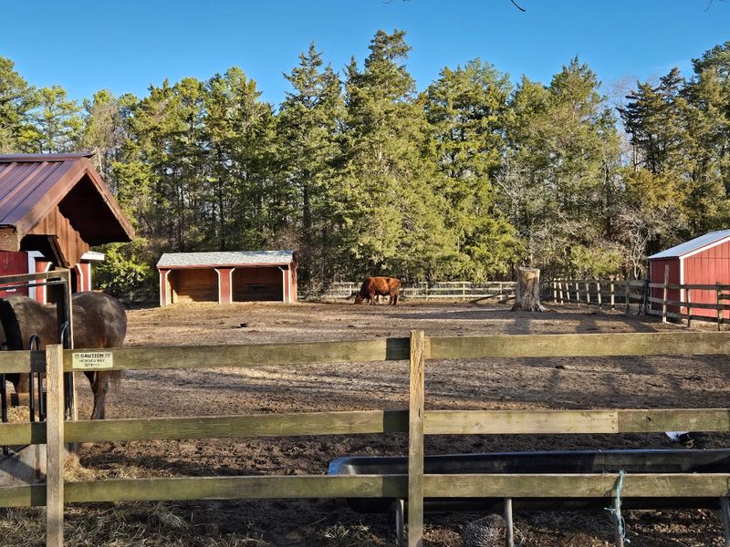 Where to Find the Funny Farm