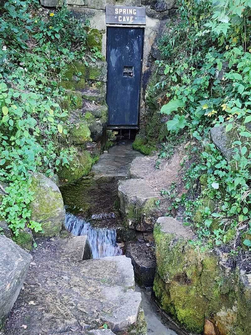 Which Caves Are Open and Which Are Not Which Caves Are Open and Which Are Not