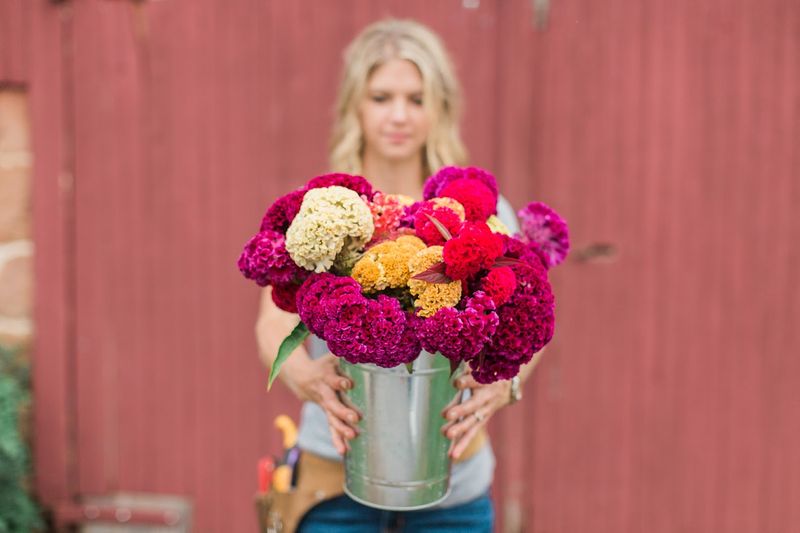 Wholesale and Bulk Options for Flower Enthusiasts Wholesale and Bulk Options for Flower Enthusiasts