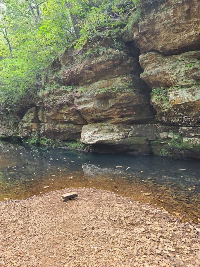 Why Bell Smith Springs Stays With You Long After You Leave