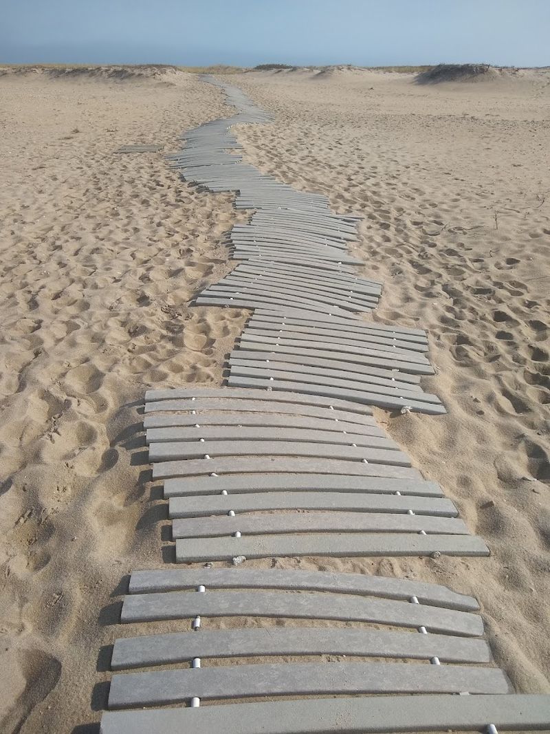 Why Cape Poge Stays With You Long After You Leave Why Cape Poge Stays With You Long After You Leave