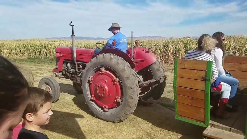 Why Families Keep Coming Back Season After Season