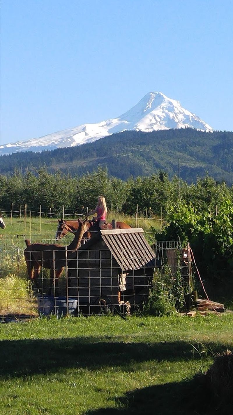 Why Hood River Makes the Perfect Backdrop for This Ride