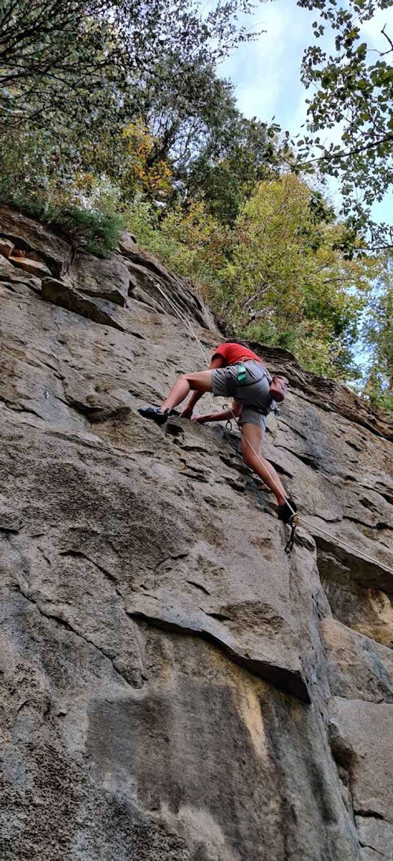 Why Kings Bluff Keeps People Coming Back