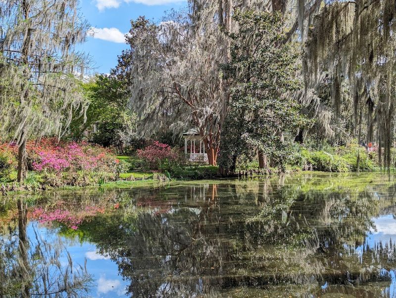 Why Magnolia Stands Apart from Other Charleston Attractions Why Magnolia Stands Apart from Other Charleston Attractions
