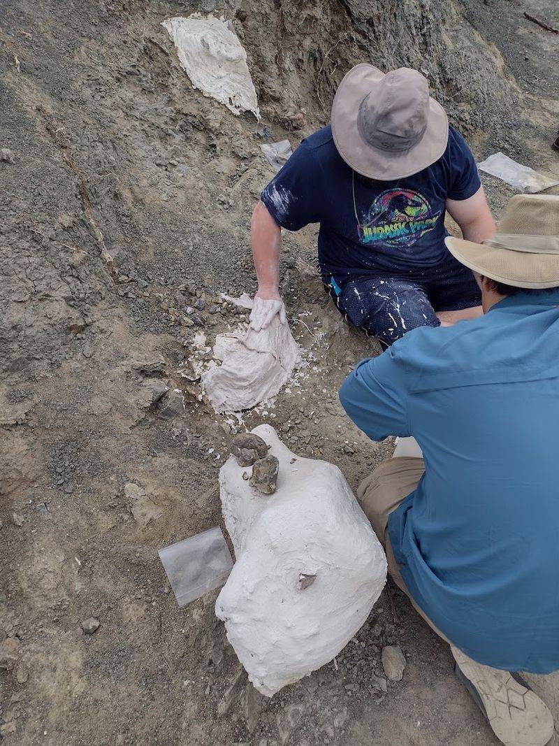 Why Montana's Ground Is Basically a Dinosaur Treasure Chest Why Montana's Ground Is Basically a Dinosaur Treasure Chest