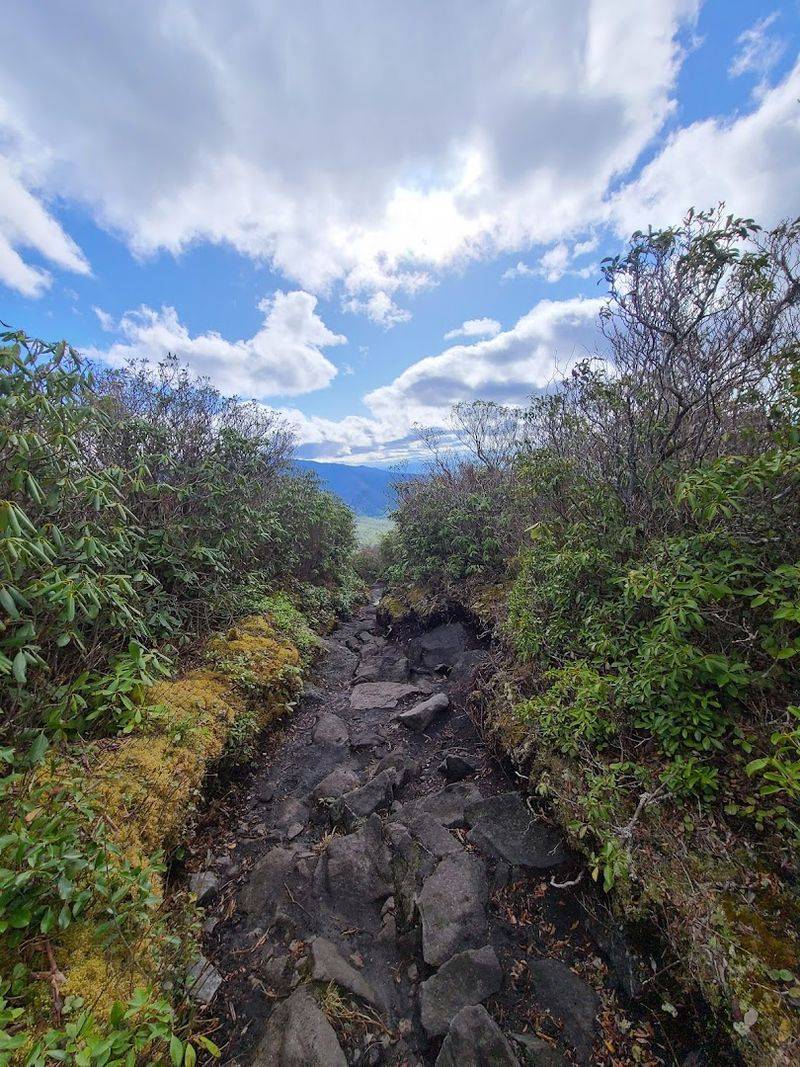 Why People Keep Coming Back To This Trail Why People Keep Coming Back To This Trail