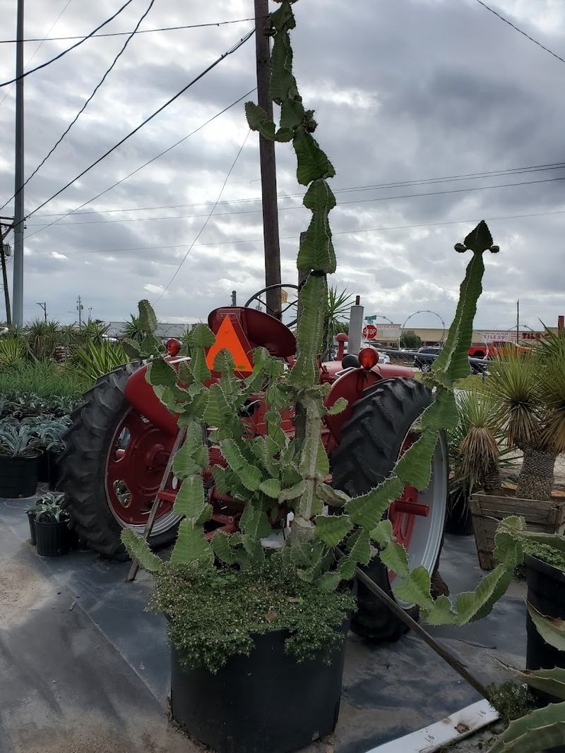 Why Plant Lovers Keep Returning Season After Season Why Plant Lovers Keep Returning Season After Season