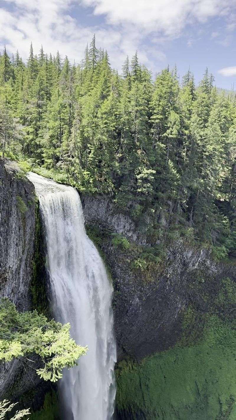 Why Salt Creek Falls Stays With You Why Salt Creek Falls Stays With You