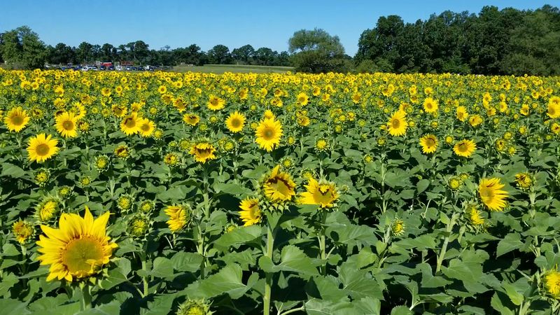 Why September Is the Magic Month Why September Is the Magic Month