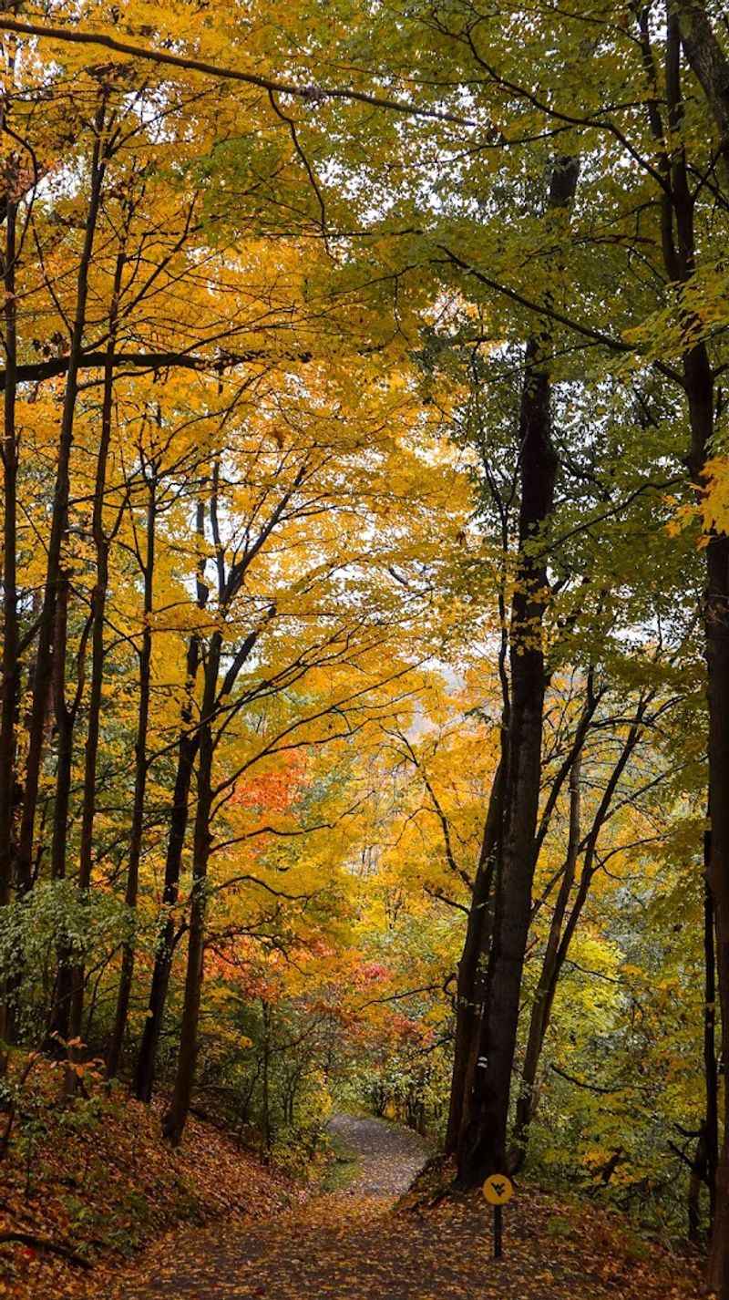 Why This Arboretum Matters to Morgantown and Beyond Why This Arboretum Matters to Morgantown and Beyond