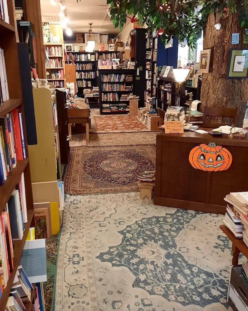 Why This Bookstore Earns Its Loyal Following