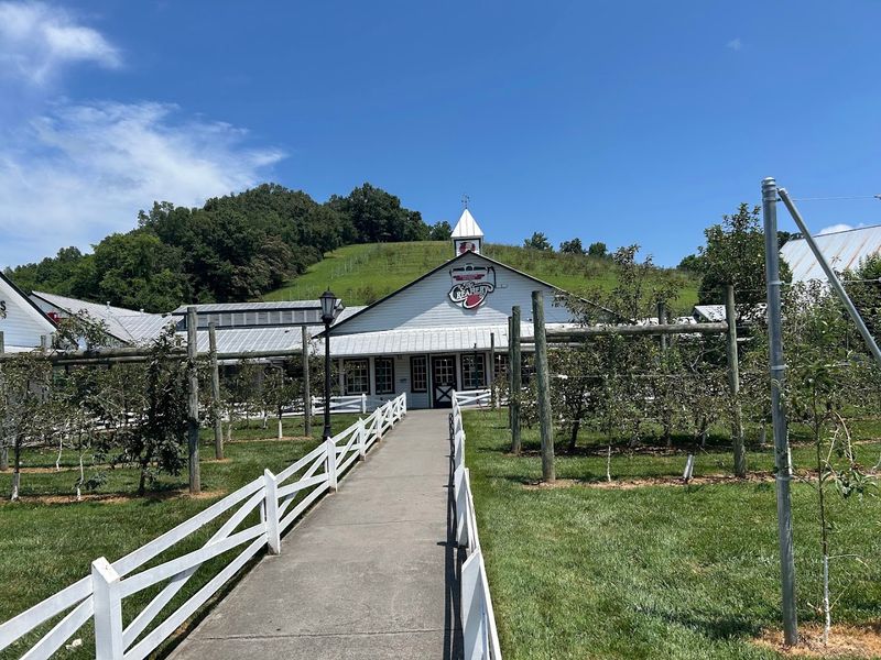 Why This Creamery Keeps Drawing People Back