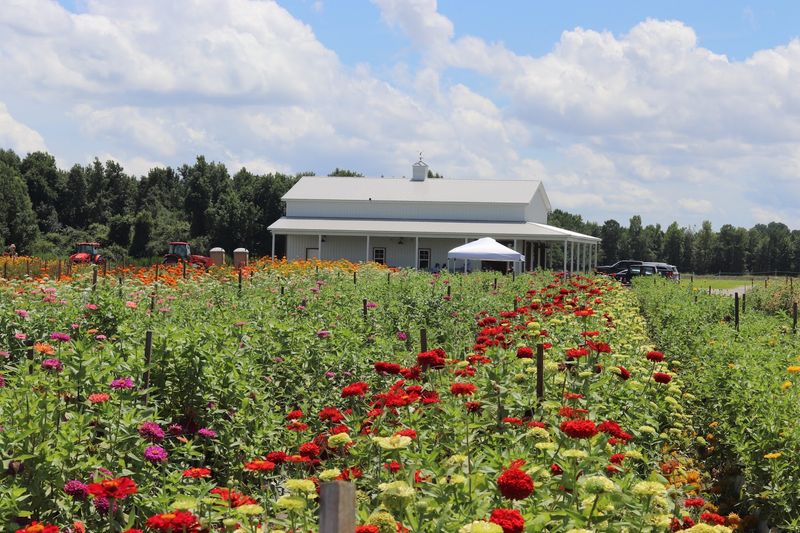 Why This Farm Earns Its Loyal Fans Why This Farm Earns Its Loyal Fans