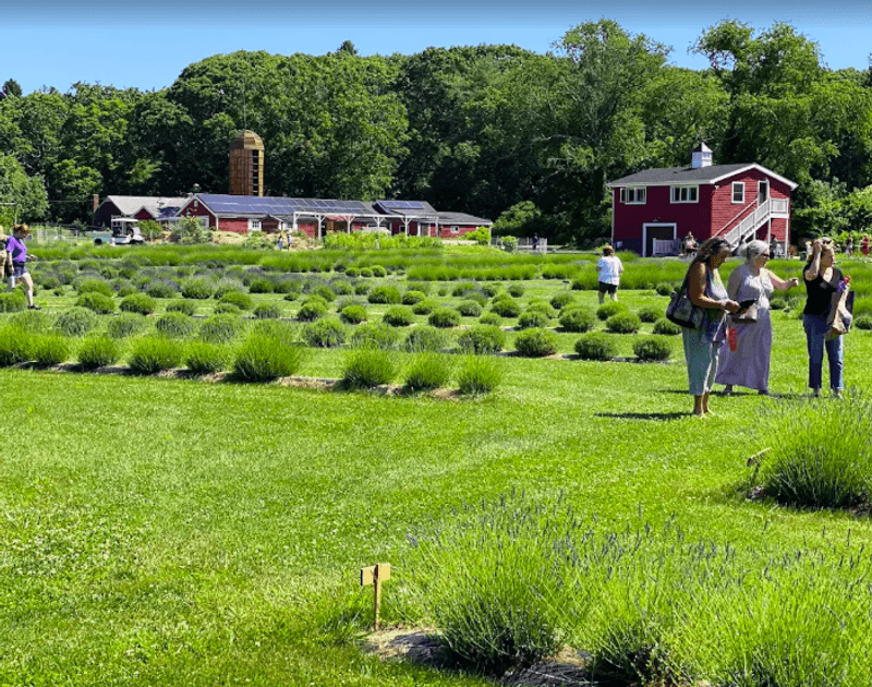 Why This Farm Has Become One of Rhode Island's Most Talked-About Spots