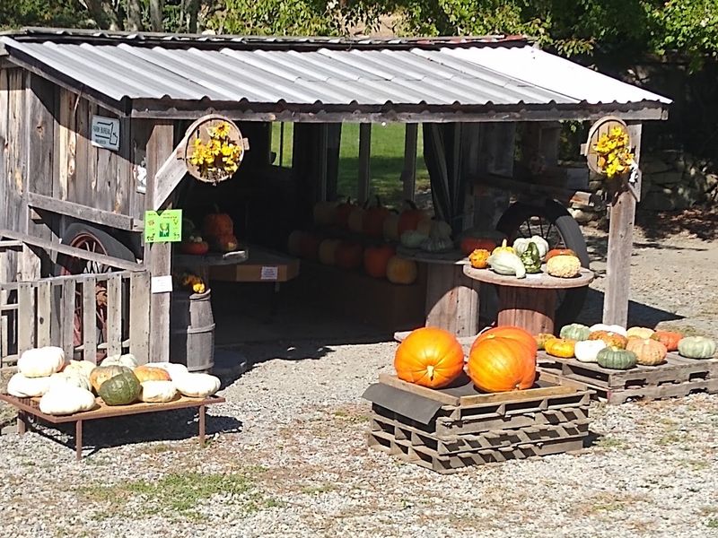 Why This Farm Keeps Drawing People Back