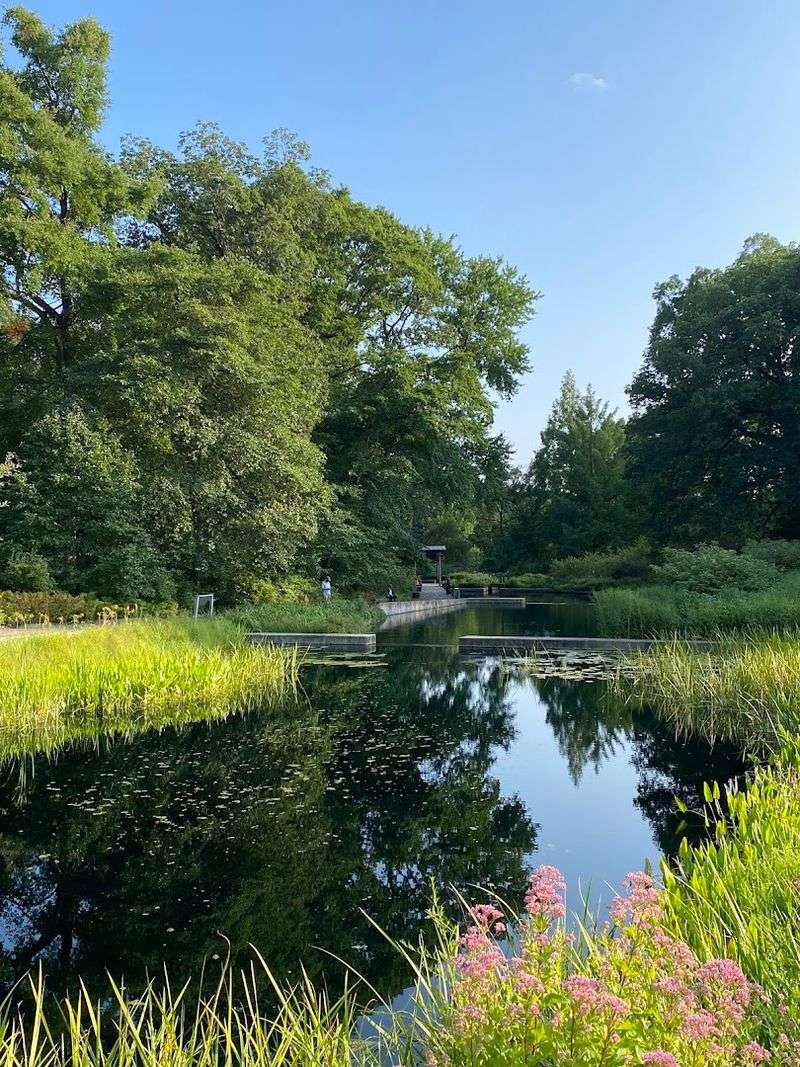 Why This Forest Still Matters in a City of Millions