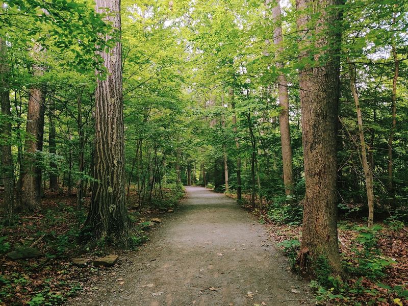 Why This Garden Earns Its Place as a West Virginia Original