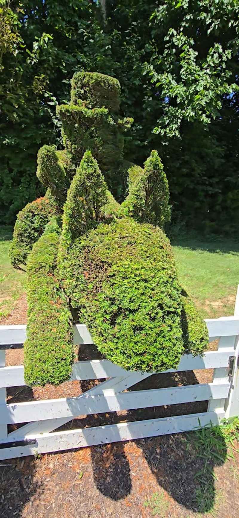Why This Garden Keeps Drawing People Back