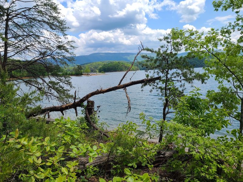 Why This Lake Keeps Calling People Back Why This Lake Keeps Calling People Back