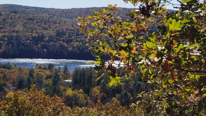 Why This Lakeside Sanctuary Stays With You Long After You Leave Why This Lakeside Sanctuary Stays With You Long After You Leave