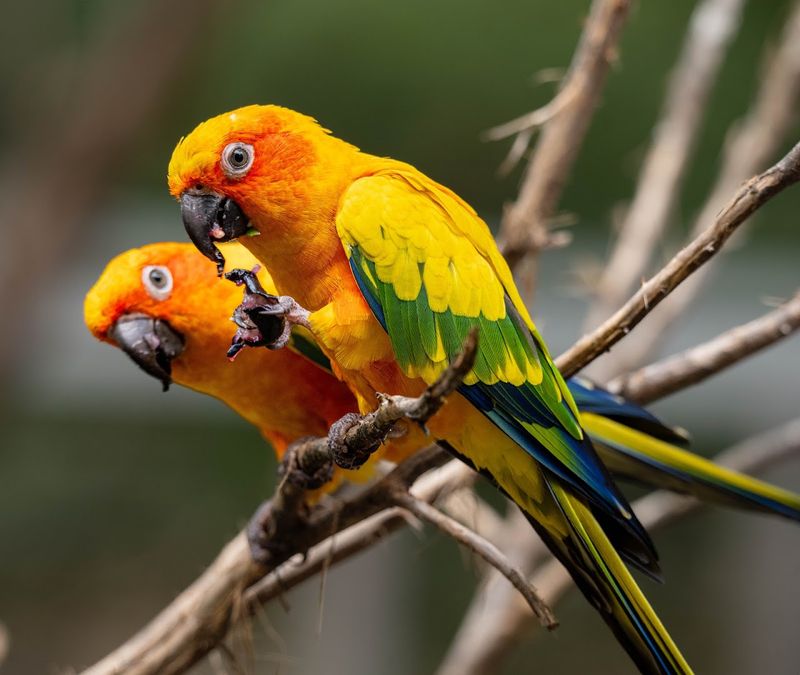 Why This Overlooked Sanctuary Deserves a Spot on Your List