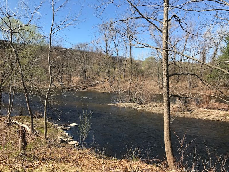 Why This Park Earns Its Place on Every Bend Itinerary Why This Park Earns Its Place on Every Bend Itinerary